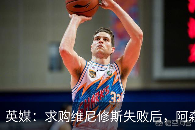 英媒：求购维尼修斯失败后，阿森纳有意引进阿尔瓦雷斯或巴尔科拉